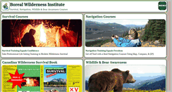 Desktop Screenshot of boreal.net